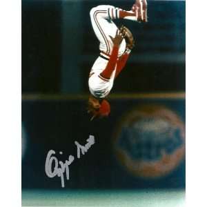com OZZIE SMITH,ST LOUIS CARDINALS,CARDINALS,THE WIZARD,HALL OF FAME 