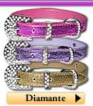 Check out our wide variety of pet collars and accessories only at our 