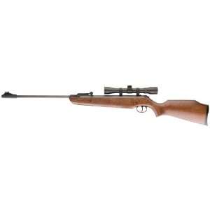 Ruger Air Hawk Combo Rifle (Wood, Large):  Sports 