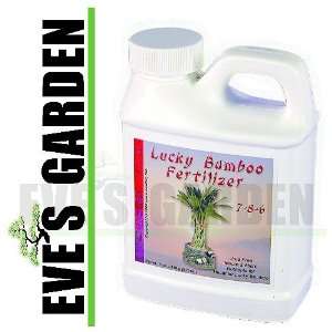  Eves Lucky Bamboo Fertilizer specially designed by Eves 