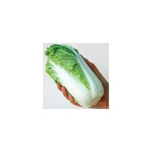  Baby Chinese Cabbage Wa Wa Tsai Hybrid Seeds: Patio, Lawn 