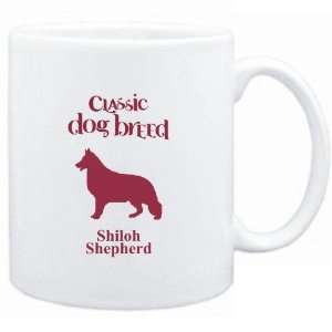   White  Classic Dog Breed Shiloh Shepherd  Dogs