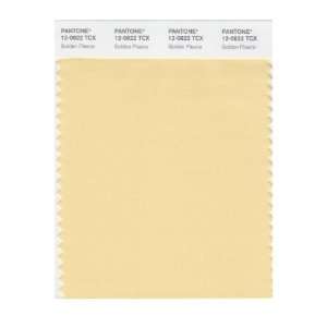  PANTONE SMART 12 0822X Color Swatch Card, Golden Fleece 