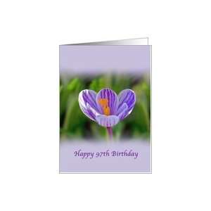  97th Birthday, Religious, Crocus Flower Card: Toys & Games