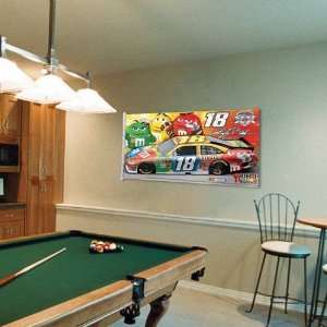  NASCAR Kyle Busch 3 x 5 Banner Flag: Sports & Outdoors