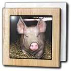 3dRose LLC Farm Animals   Pig   Tile Napkin Holders