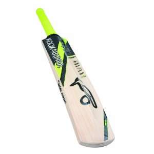  Blade 950 Cricket Bat Men SH: Sports & Outdoors