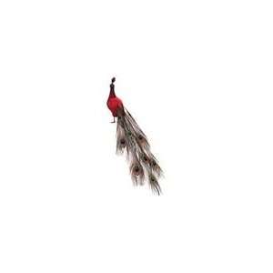  28 Regal Peacock Vibrant Red Exotic Closed Tail Bird 