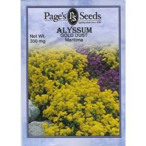  Alyssum, Gold Dust (P) Patio, Lawn & Garden