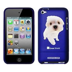  Maltese Puppy on iPod Touch 4g Greatshield Case 