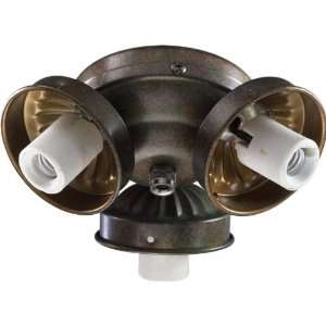  Ceiling Fan Light Kit in Corsican gold: Home & Kitchen