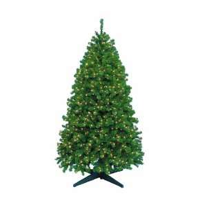Barcana 5 Foot Remote Control Highland Fir Christmas Tree with 800 