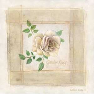  Garden Rose Finest LAMINATED Print Lanie Loreth 6x6
