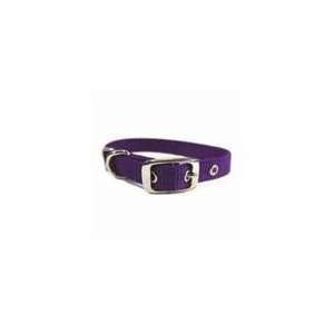  Single Thick Nylon Dog Collar Hot Purple 14 In: Pet 