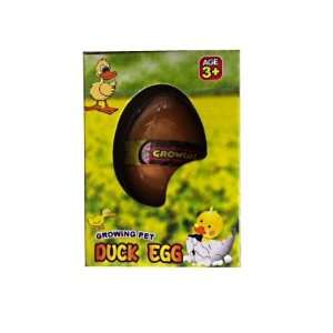  Duck HatchEm Eggs Growing Pet Case Pack 36 Toys & Games