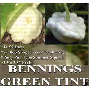   BENNING Squash seeds Patty Pan fruits 2.5 x 3.5 Patio, Lawn & Garden