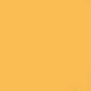  Superior Seamless Paper #35 Yellow Orange 107 X 36 