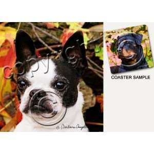 Boston Terrier Dog Drink Coasters 