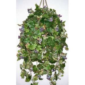  Large Grape Leaf Ivy Hanging Basket: Home & Kitchen