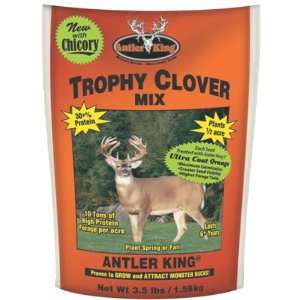  Antler King Trophy Clover Seed Mix