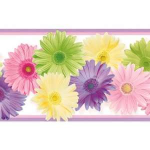  Daisy Delight Pink and Purple Border