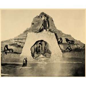   Barbara Amphibia Sea Lions   Original Halftone Print