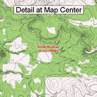  USGS Topographic Quadrangle Map   Reddy Mountain, Texas 