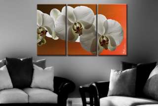 Orchidee Bild auf Leinwand / Modern / Wandbild / Bilder  