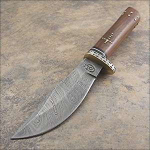 Colt Genuine Damascus Brown Wood Hunter Knife NEW  