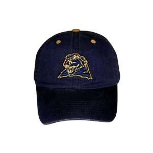  Pittsburgh Panthers Crew Hat