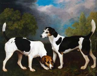 GEORGE STUBBS A Couple of Foxhounds BILD 70x55 cm Leinwand Druck Hunde 