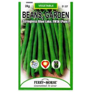 Ferry Morse Garden Beans Blue Lake String Pole Seed 8104 at The Home 