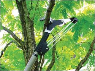 Telescopic Tree Cutter and Saw which extends up to 2.4m.