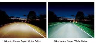 H7 55w SUPER WHITE XENON (499) Head Light Bulbs 12v  