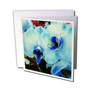  Florene Flowers   Blue Orchids   Greeting Cards 6 Greeting 