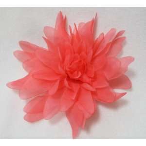    NEW Sheer Coral Salmon Dahlia Flower Hair Clip, Limited.: Beauty