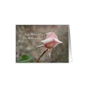  Mothers Day Mother in Law   Pink Rose Bud Card: Health 