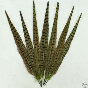 12 dyed MOSS GREEN pheasant tail feathers, 15 17 inches  