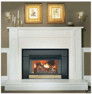 NEW Napoleon Natural Vent Gas Fireplace Insert GI3600N  