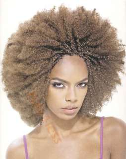 Janet Collection Afro Kinky Bulk Braiding Hair 24  