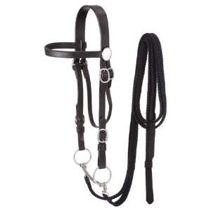  Draft Horse Bridle with Split Reins and Bit: Sports 