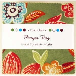  Moda Prayer Flag Charm Pack Arts, Crafts & Sewing