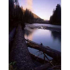  the Hoh River, Hoh Valley, Olympic National Park, Washington State 