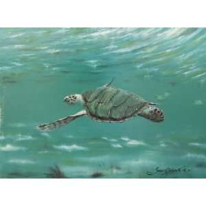  Green Sea Turtle Original  Painting by Susan Wolding