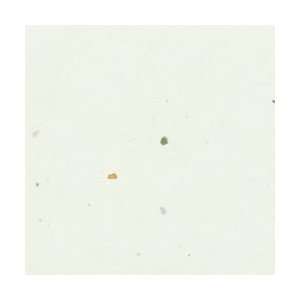  11x17 Stardust White Copy Paper (500 Sheets per Ream 
