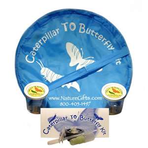 Large Butterfly Rearing Kit   butterfly kit