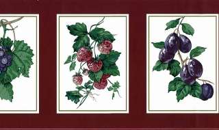 WALLPAPER BORDER WAVERLY FRUIT STRAWBERRIES GRAPES PLUMS PEACHES VINES 